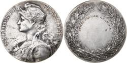 World Coins - France, Medal, 3rd Republic, n.d., Silvered bronze, Delpech,