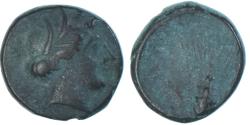 Lucania coins for sale - Buy Lucania coins from the most respected