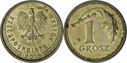 World Coins - Poland, Grosz, 2019