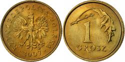 World Coins - Poland, Grosz, 2007, Warsaw, Brass, , KM:276