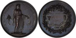 World Coins - France, Medal, Société d'Agriculture de Bourgoin et Crémieu, Agriculture