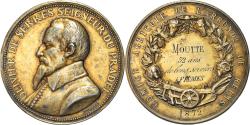 World Coins - France, Medal, Comice Agricole de Reims, Olivier de Serres, 1872, Oudiné