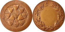 World Coins - France, Medal, Association des Délégués Cantonaux de l'arrondissement de