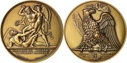 World Coins - France, Medal, First French Empire, History, XIXth Century, , Bronze