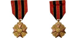 World Coins - Belgium, Mérite Civique, Medal, Excellent Quality, Gilt Bronze, 35