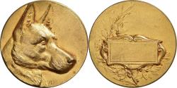World Coins - France, Medal, Chiens, Société Canine, Gilt Bronze, Dubois.A,