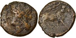 Ancient Coins - Coin, Campania, Cales, Bronze Æ, 265-240 BC, , Bronze, HN Italy:436
