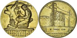 World Coins - France, Medal, Électricité de France et gaz de France, Dropsy, 46 Années de