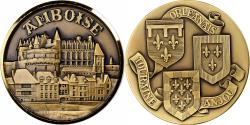 World Coins - France, Medal, Touraine, Orléanais, Anjou, Amboise, Bronze, J. Balme,