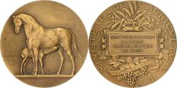 World Coins - France, Medal, Direction des Haras, Concours Central Hippique de Paris, Bronze