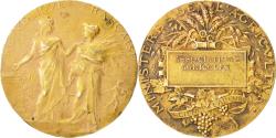 World Coins - France, Medal, French Third Republic, Business & industry, Dubois.A,