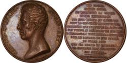 World Coins - France, Medal, Charles X, Politics, Society, War, 1824, Gayrard,