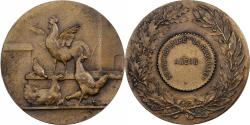 World Coins - France, Medal, Aviculture, Bronze,