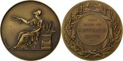 World Coins - France, Medal, Prix Offert par M. Boivin-Champeaux, Sénateur, Bronze, Brenet