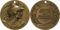 World Coins - France, Medal, Comité Central des Chambres Syndicales, Bronze, Bottée