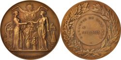 World Coins - France, Medal, Tele-dict, Business & industry, XXth Century, Farochon