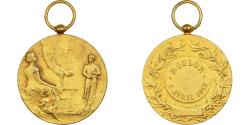 World Coins - France, Medal, Gymnastique, Moulon, 1912, Gilt Bronze, Rasumny,