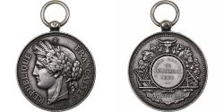 World Coins - France, Medal, Comice Agricole de Rémirémont, 1885, Silver, Oudiné,