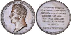 World Coins - France, Medal, Louis-Antoine d'Artois, duc d'Angoulême, History, 1823, Andrieu