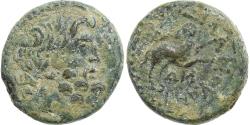 Ancient Coins - Seleucis and Pieria, Augustus, Æ Unit, 13-14, Antioch, Bronze,