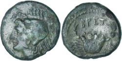Ancient Coins - Coin, Bruttium, Æ, ca. 216-214 BC, , Bronze, HN Italy:1944