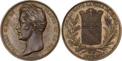 World Coins - France, Medal, Charles X, Visite de Troyes, 1828, Bronze, Depaulis/Depuymaurin