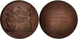 World Coins - France, Medal, Les Trois Glorieuses et Casimir Delavigne, History, 1830, Casimir