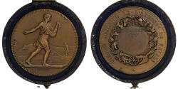 World Coins - France, Medal, Comice Agricole de l'Arrondissement de Nevers, 1905, Bronze