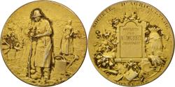 World Coins - France, Medal, French Third Republic, Flora, Rivet, , Vermeil