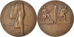 World Coins - France, Medal, French Third Republic, Politics, Society, War, Delannoy