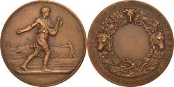 World Coins - France, Medal, Comice Agricole de Rouen, Lagrange, , Bronze