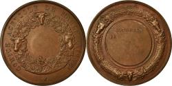 World Coins - France, Medal, Comice Agricole de Marle (Aisne), , Copper