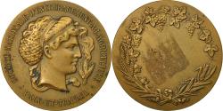 World Coins - France, Medal, Société Nationale d'encouragement à l'agriculture,