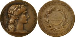 World Coins - France, Medal, Ministère de la Guerre, Soins donnés à la Gendarmerie