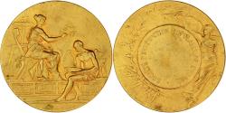 World Coins - France, Medal, Société d'Instruction Populaire de l'Yonne, Gilt Bronze, Rivet