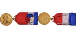 World Coins - France, Honneur-Travail, République Française, Medal, Excellent Quality