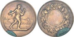 World Coins - France, Medal, Comptoir Français du Sulfate d'Amoniac, Agriculture, Lagrange