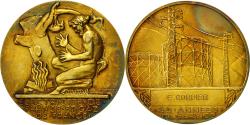 World Coins - France, Medal, Électricité de France et gaz de France, Dropsy, , Gilt