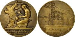 World Coins - France, Medal, Électricité de France et gaz de France, Dropsy,