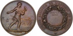World Coins - France, Medal, Comice Agricole de l'Arrondissement de Nevers, 1889, Bronze