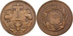 World Coins - France, Medal, Agriculture, Concours général de Nevers, Nièvre, 1911, Bronze