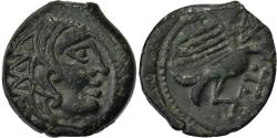 Ancient Coins - Carnutes, Senones, Bronze à l'aigle, 1st century BC, Bronze,