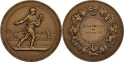 World Coins - France, Medal, Comptoir Français du Sulfate d'Amoniac, Bronze, Lagrange