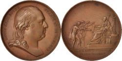 World Coins - France, Medal, Charte Constitutionnelle, Louis XVIII, History, 1814, Andrieu