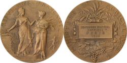 World Coins - France, Medal, Concours Central Hippique de Paris, 1914, Bronze, Alphée Dubois