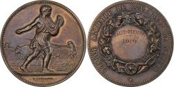 World Coins - France, Medal, Comice Agricole de l'Arrondissement de Nevers, 1910, Bronze