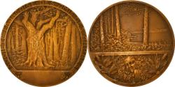 World Coins - France, Medal, Société Française des Amis des Arbres, Eaux et Forêt