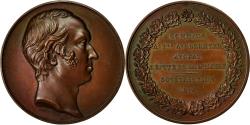 World Coins - France, Medal, Hommage à Mr Berryer, Avocat de la Haute Loire, 1833, Barre