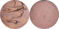 World Coins - France, Medal, Les Avions, Bronze, Crunelle,