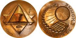 World Coins - France, Medal, Les Droits de L 'Homme, Politics, Society, War, Buisson